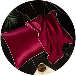 image-Mulberry Silk Pillowcase 19mm 48*74 Solid Color