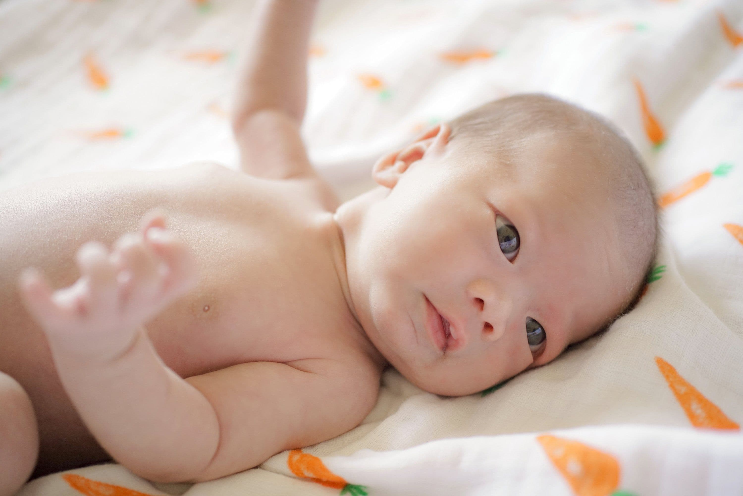 image-ORGANIC SWADDLE SET - FIRST FOODS (Avocado + Carrot)