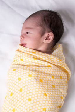 image-ORGANIC SWADDLE - HIVE