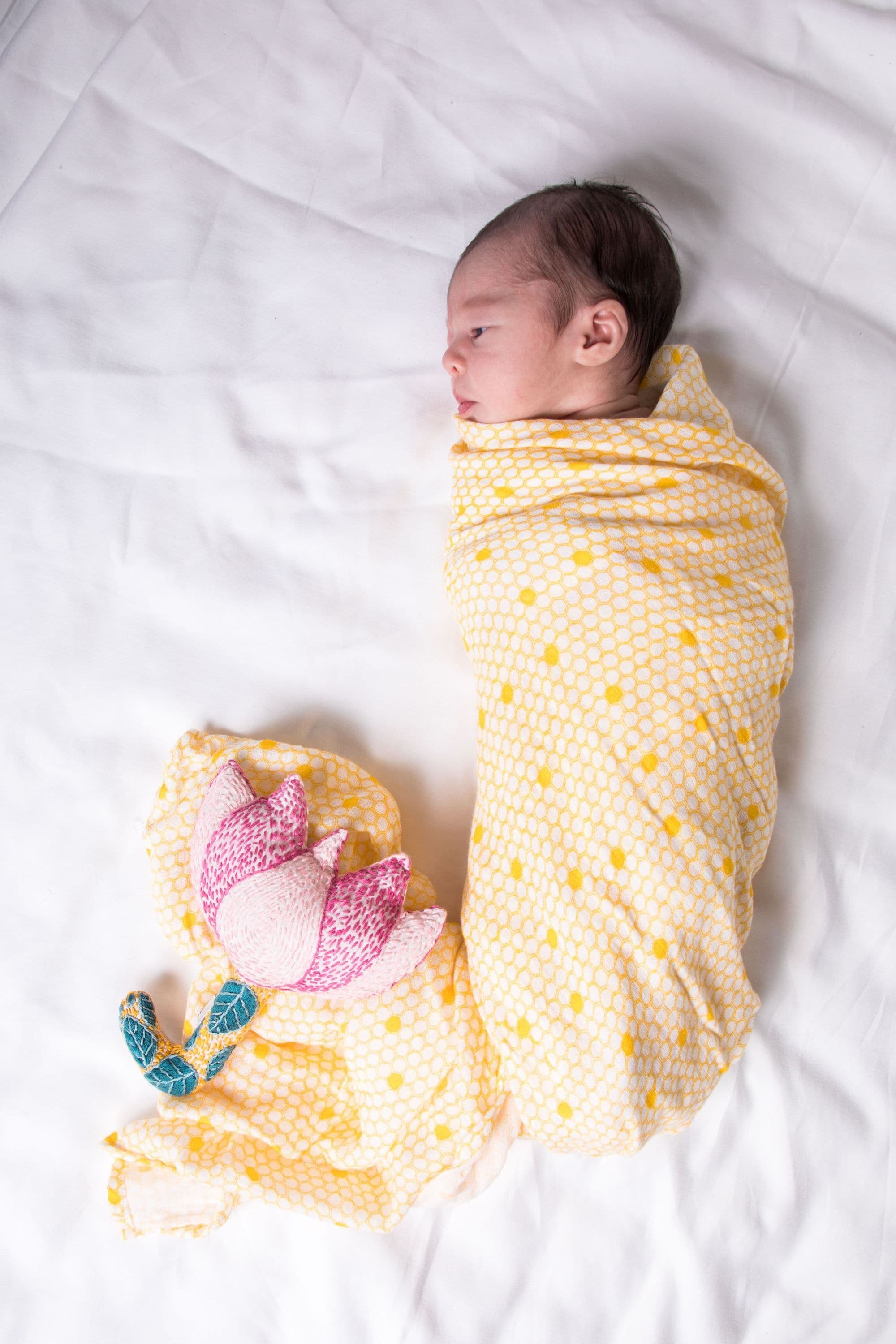 image-ORGANIC SWADDLE - HIVE