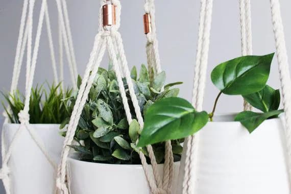 image-Macrame Plant Hanger, Hanging Planter, Indoor,