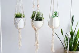 image-Macrame Plant Hanger, Hanging Planter, Indoor,