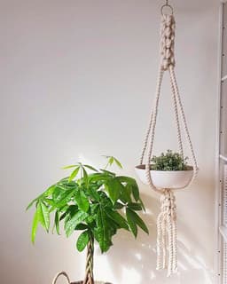 image-Large Macrame Plant Hanger, Hanging Planter, Unique Gift