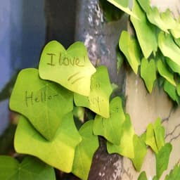 image-Leaves Memo Pads