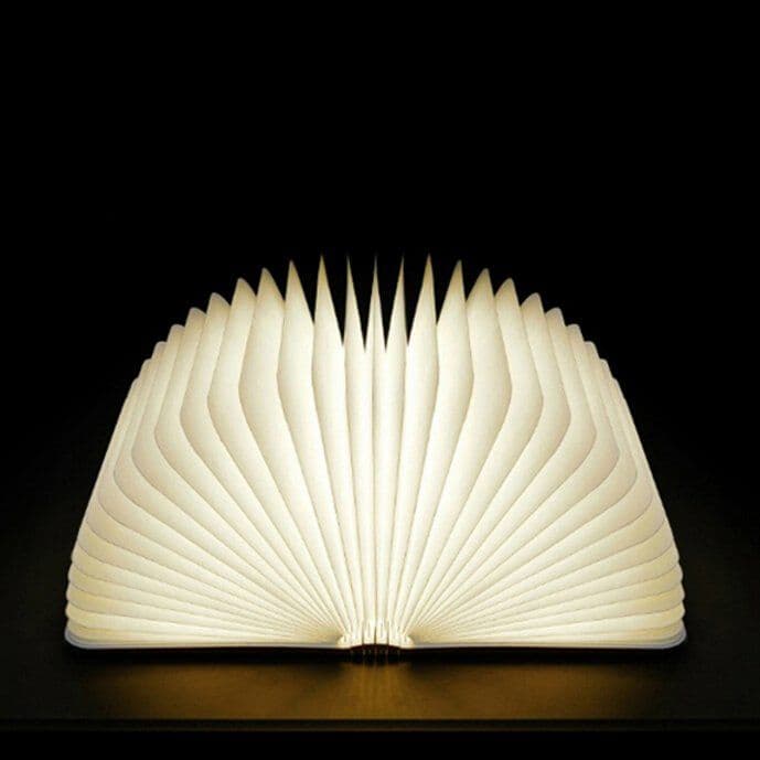 image-Mini LED Book Light