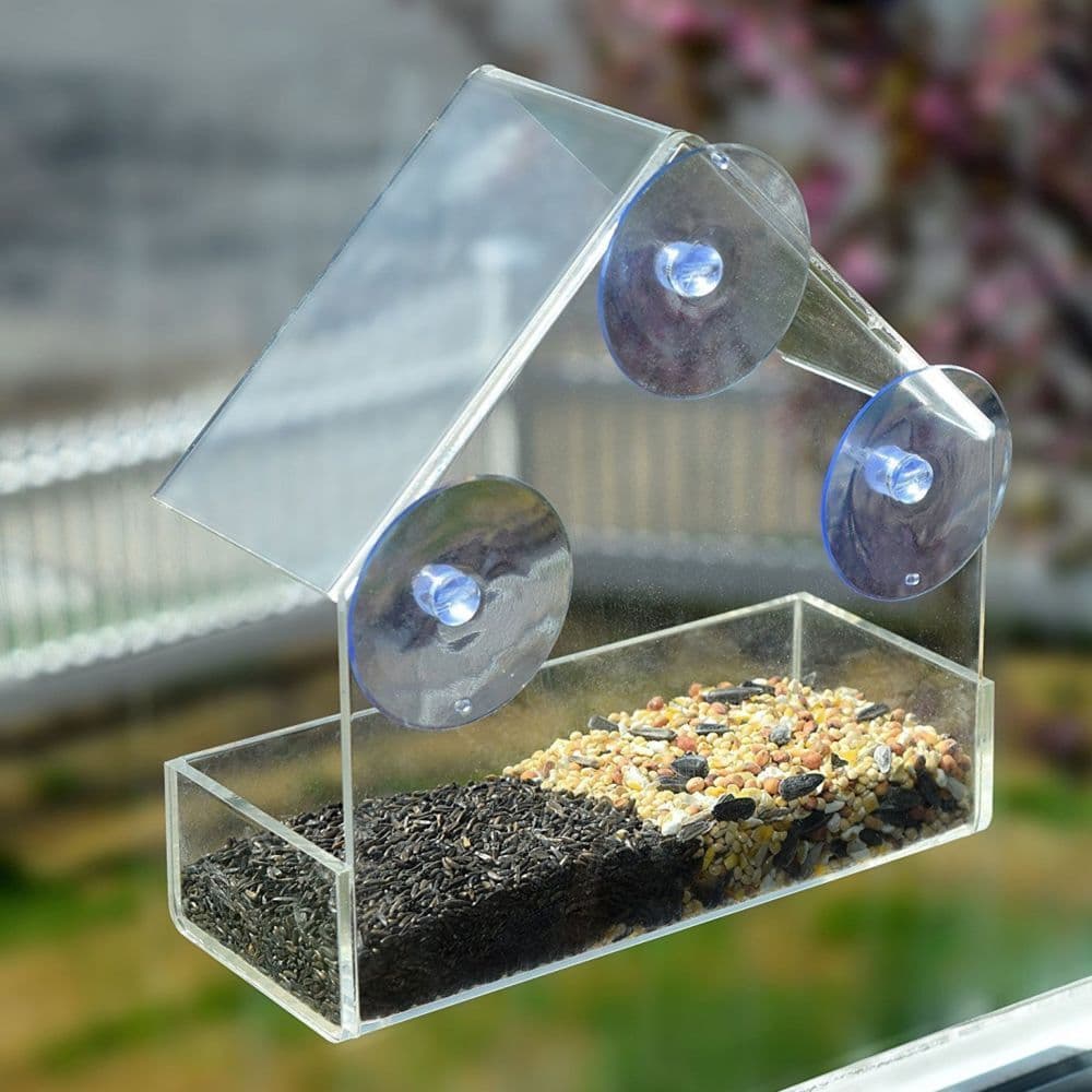 image-Little House Clear Bird Feeder