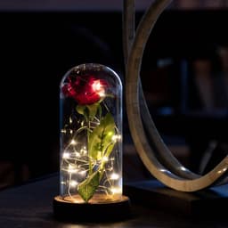 image-Enchanted Rose Flower Lamp