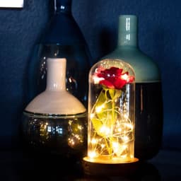 image-Enchanted Rose Flower Lamp