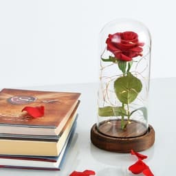 image-Enchanted Rose Flower Lamp