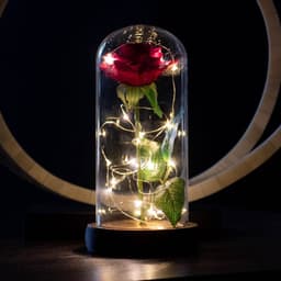 image-Enchanted Rose Flower Lamp
