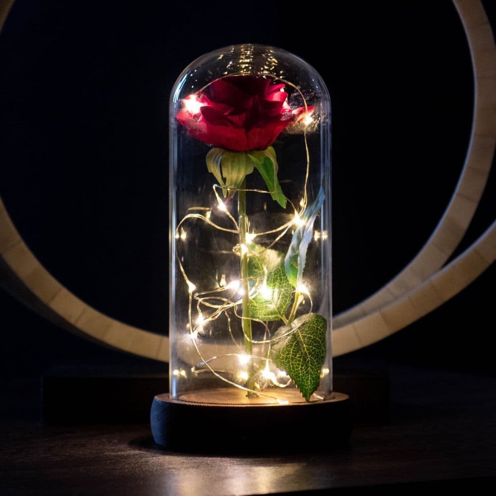image-Enchanted Rose Flower Lamp
