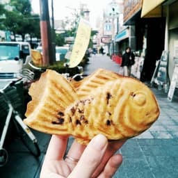 image-Japanese Pancake Maker 2 reviews