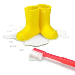 image-Rain & Shine Toothbrush Holder