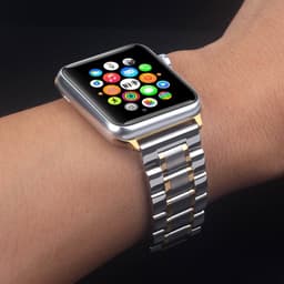 image-Stainless Steel Apple Watch Strap