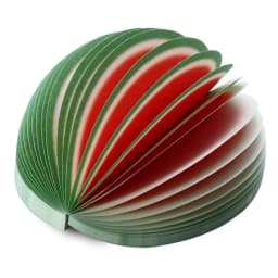 image-Fruit Memo Note Pads