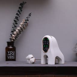 image-Intelligent Music Alarm Clock