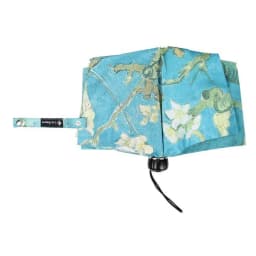 image-Almond Trees Blossom Sunny Umbrella