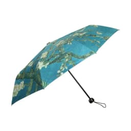 image-Almond Trees Blossom Sunny Umbrella