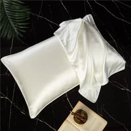 image-Mulberry Silk Pillowcase 19mm 48*74 Solid Color