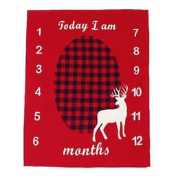 image-Memorial baby blanket