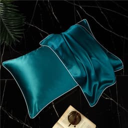 image-Mulberry Silk Pillowcase 19mm 48*74 Solid Color