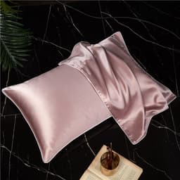 image-Mulberry Silk Pillowcase 19mm 48*74 Solid Color