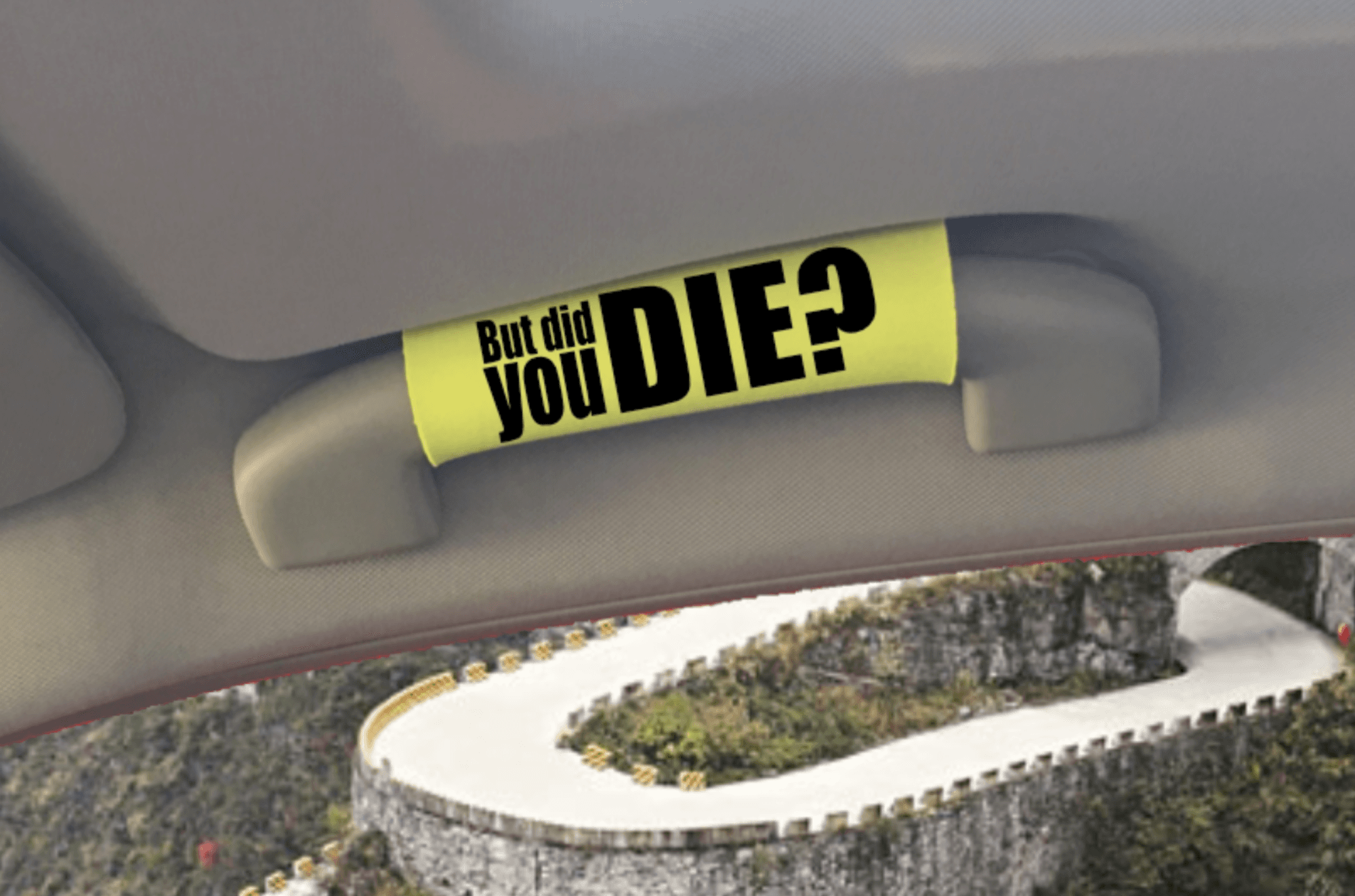image-The DID YOU DIE Grip.