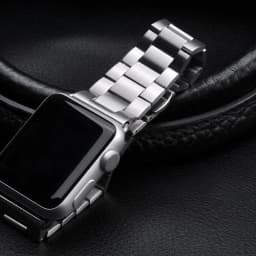 image-Steel Apple Watch Band