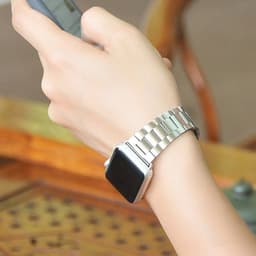 image-Steel Apple Watch Band