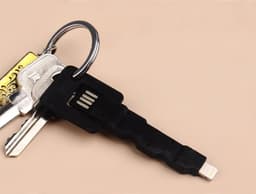 image-USB Keychain Lightning Cable