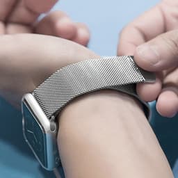 image-Steel Apple Watch Strap