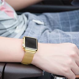 image-Steel Apple Watch Strap