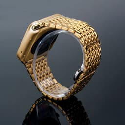 image-Stainless Steel Apple Watch Gold iWatch Band