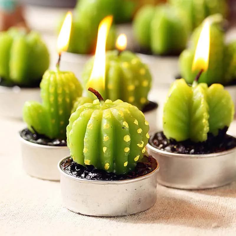 image-Cactus Candle 6PCS Set