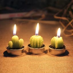 image-Cactus Candle 6PCS Set