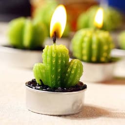 image-Cactus Candle 6PCS Set