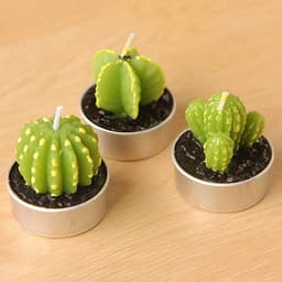 image-Cactus Candle 6PCS Set