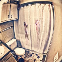 image-Blood Bath Shower Curtain