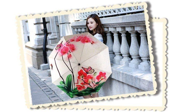 image-Phalaenopsis IllUstrations Sunny Umbrella