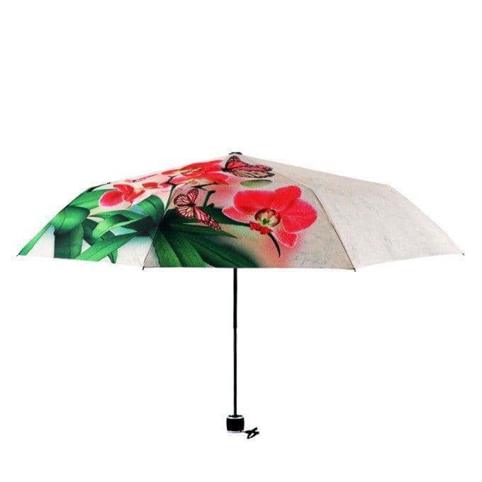 image-Phalaenopsis IllUstrations Sunny Umbrella