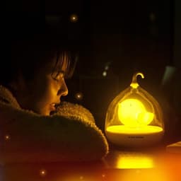 image-Birdcage Touch Control Lamp
