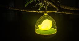 image-Birdcage Touch Control Lamp