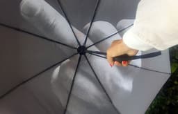 image-F*ck The Rain Umbrella