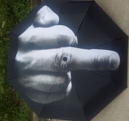 image-F*ck The Rain Umbrella