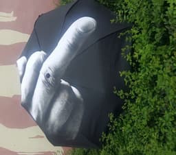 image-F*ck The Rain Umbrella