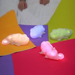 image-Color Copying Chameleon Lamp