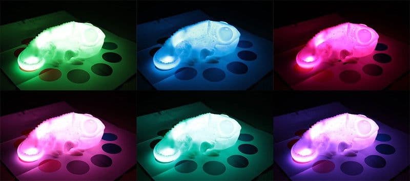 image-Color Copying Chameleon Lamp