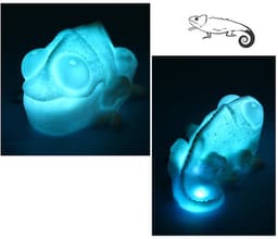 image-Color Copying Chameleon Lamp