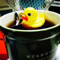 image-Duck Tea Infuser