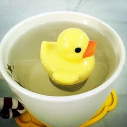 image-Duck Tea Infuser